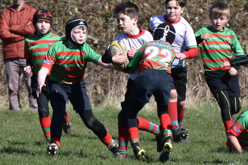 DunvantU10s's tweet photo. Not to let a Sunday go without a game, we had Dunvant U9 vs Dunvant U10 πͺπ @DunvantRFC #whoarewe #dunvantrfc #dunvantfamily #rugby #grassrootrugby #juniorrugby https://t.co/l1wnqY7t3o
