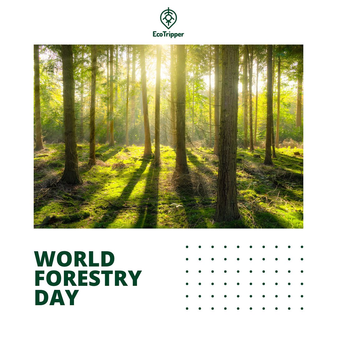 EcoTripper tweet media