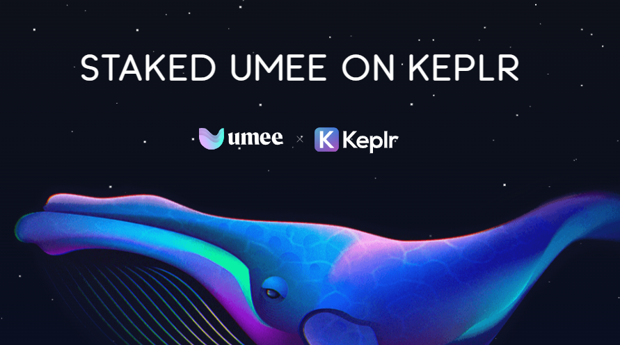GiantWhaleStake's tweet photo. In less than only 12 hours, Giant Whale has officially become an officially certified Active Validators,Voting Power achieve 10898 UMEE. Thank all delegator for their support 
@Umee_CrossChain @keplrwallet https://t.co/2VDmGJw7NR
