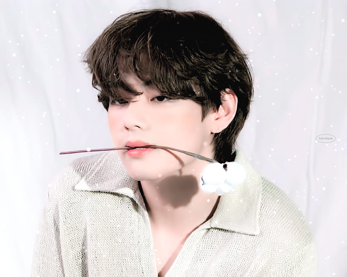 힛뷔랙 tweet media