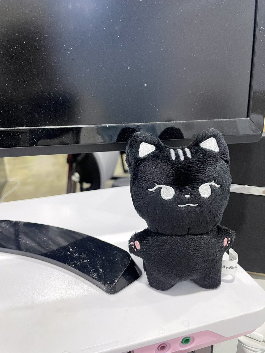 내 자리를 지켜 줄 깽냥이🖤 잡아 묵을래 <a href="/kkaengnyang/">깽냥</a>