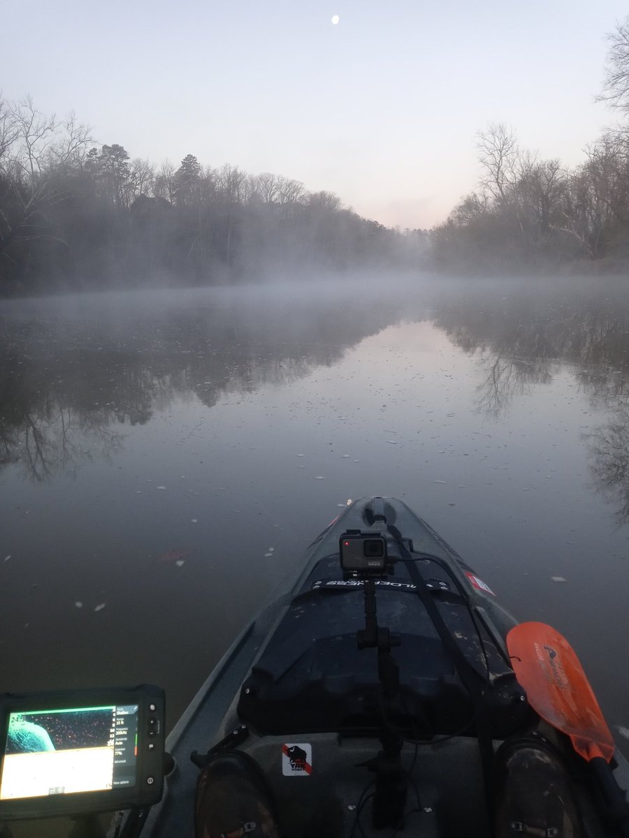 MShepherdFishin tweet picture