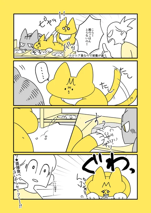 猫と子猫と隣のごはん 
https://t.co/50QPkpIPyp 