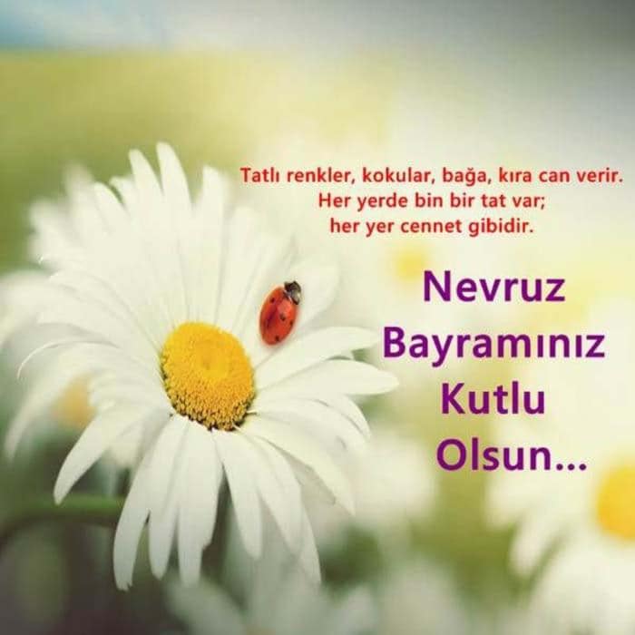 BeunMuhendislik's tweet photo. #NevruzKutluOlsun https://t.co/6GX0m6Kp4h