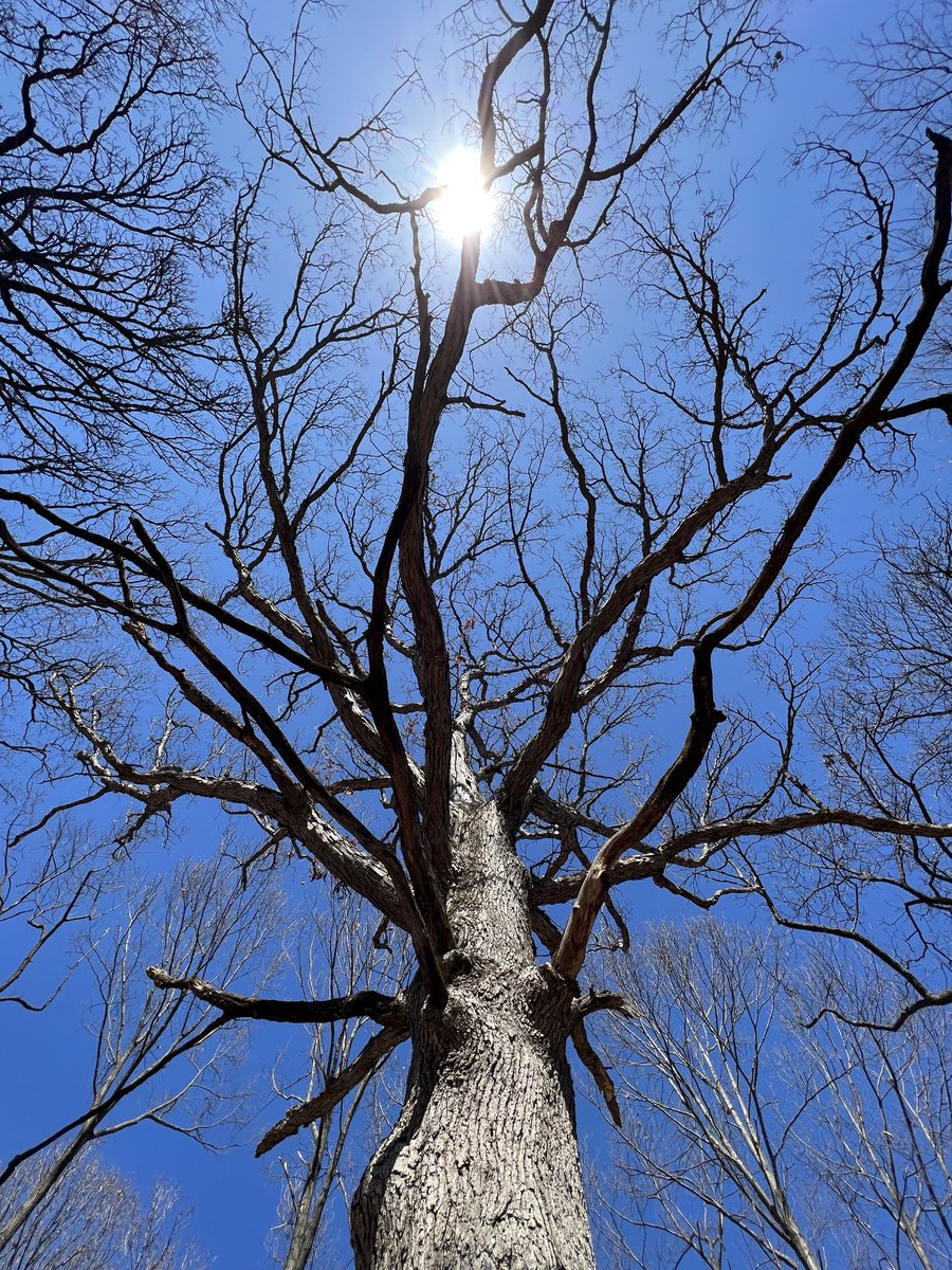 ixiiixi's tweet photo. Spring Equinox https://t.co/07ckdXlT6L