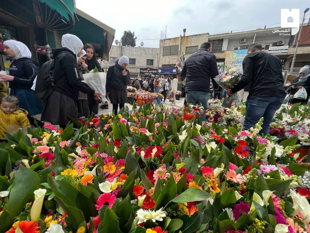 Walas32299531's tweet photo. #أمي
الأجواء الإحتفالية بـ "يوم الأم"
في القدس المحتلة .
#فلسطين_لنا
#القدس_عاصمة_فلسطين_الأبدية
#Rones
#Hafsa
#Judy
#Alparslan
♥️🌿🌹🌲🇪🇬🇵🇸🇱🇧🌲🌹🌿♥️ https://t.co/wtk9diP1lk