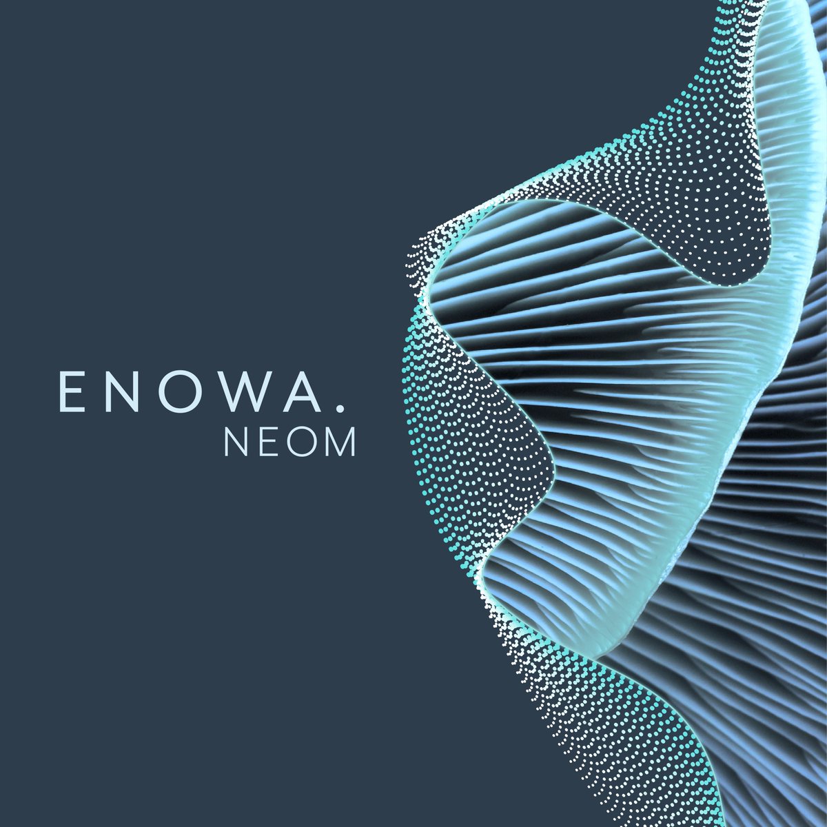 Introducing ENOWA – a new company from NEOM that will deliver game-changing sustainable energy, water and hydrogen solutions for the world. 
#NEOM #ENOWA

Learn more: 
bit.ly/3u7bwha