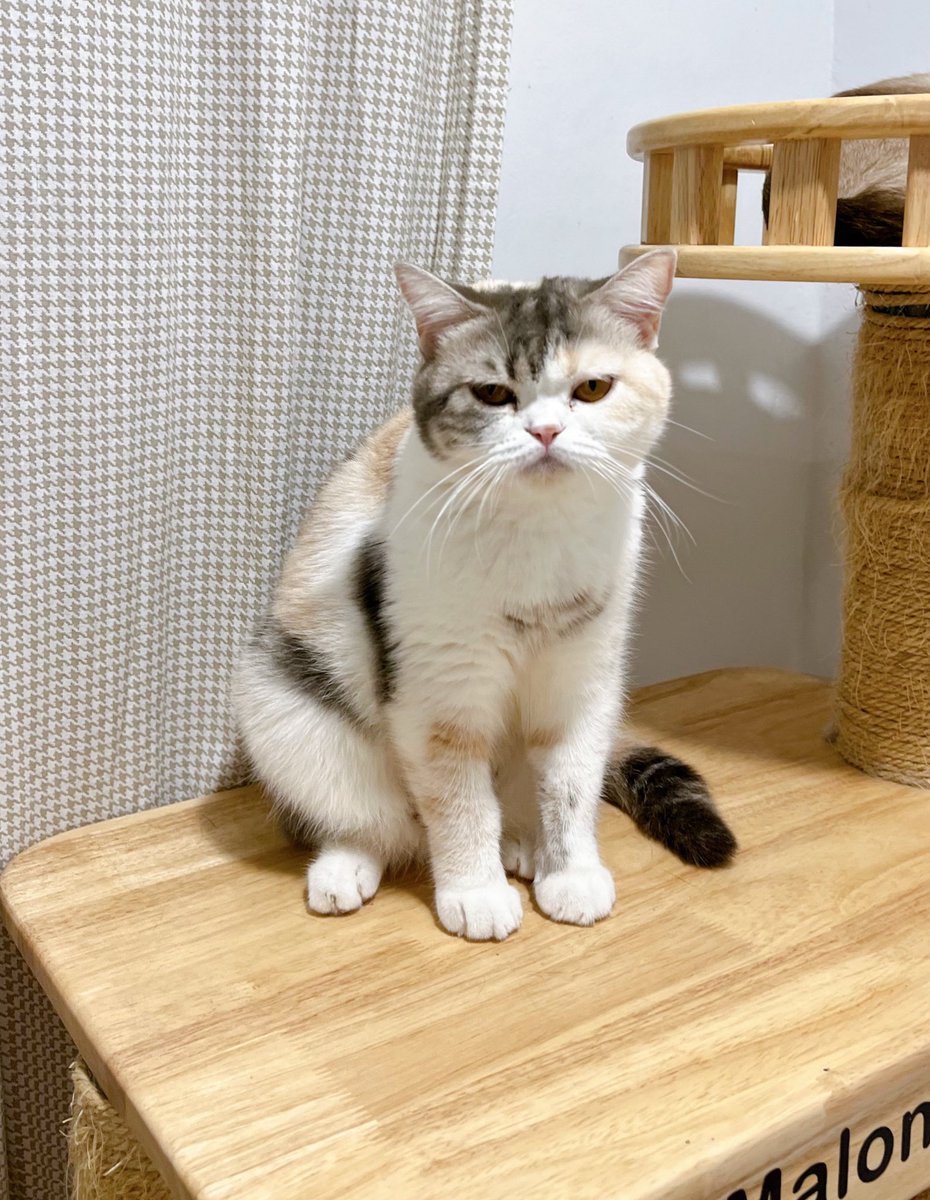 มะไหร่จะเทเปียกๆให้อะแม๊