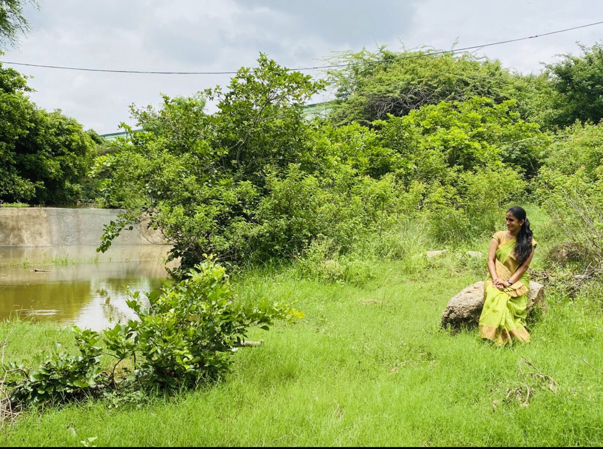 CMR_INC's tweet photo. Let the Greenery of our forests always motivate us to join hands to save forests.
Forests are essential for life on Earth
#InternationalDayofForests
#Forests #Godgift #Savenature #forestday #forestinourvillage
#GreenIndiaChallenge 👍🌱
#eachoneplantone
#MondayHandloom https://t.co/RFmc8ZEh9q