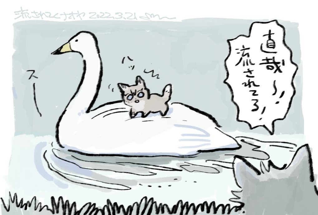 🦢 