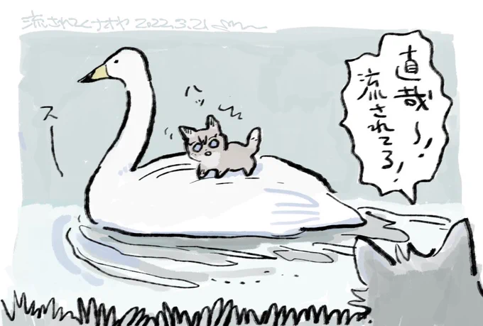 🦢 