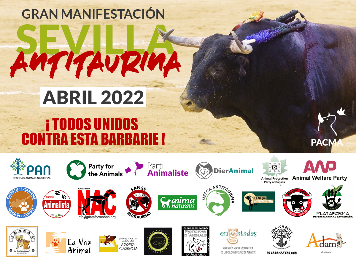PartidoPACMA's tweet photo. ¡El mes que viene volvemos a las calles de Sevilla a manifestarnos contra la tauromaquia! Demostraremos que la mayoría de la sociedad rechaza esta crueldad.

Adhesiones de entidades: tupartido@pacma.es.

#SevillaAntitaurina https://t.co/VzDAGRFTla