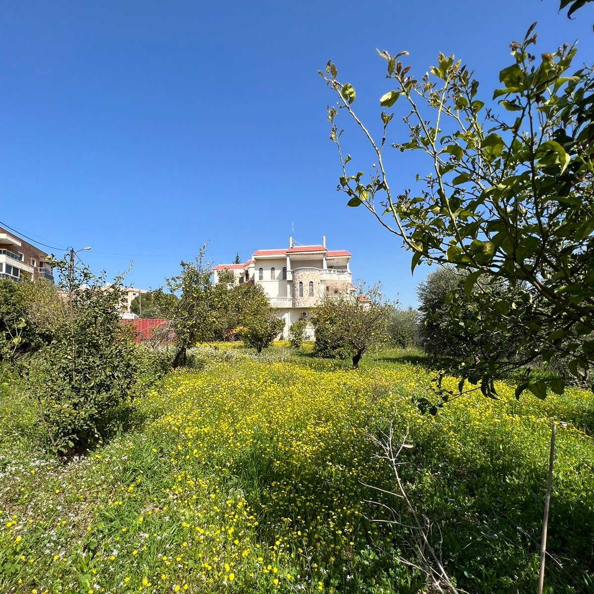 When spring flowers blanket your office garden, you know it's time to celebrate mothers!

#HappyMothersDay from NPA Lebanon🌺🌻🌷🌼🌸