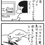 鳥がカバの上に乗っているのは…肉をついばんでいるのだった!