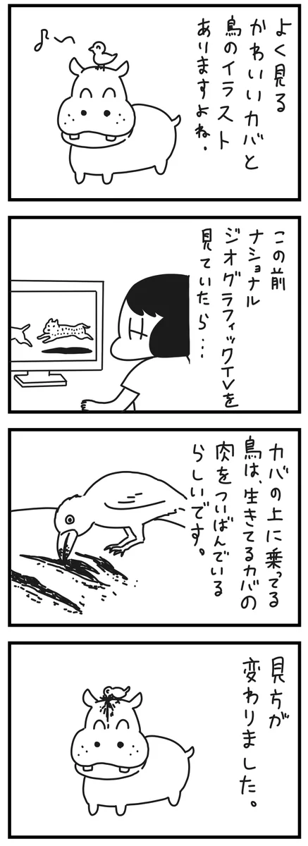 鳥がカバの上に乗っているのは…肉をついばんでいるのだった！
