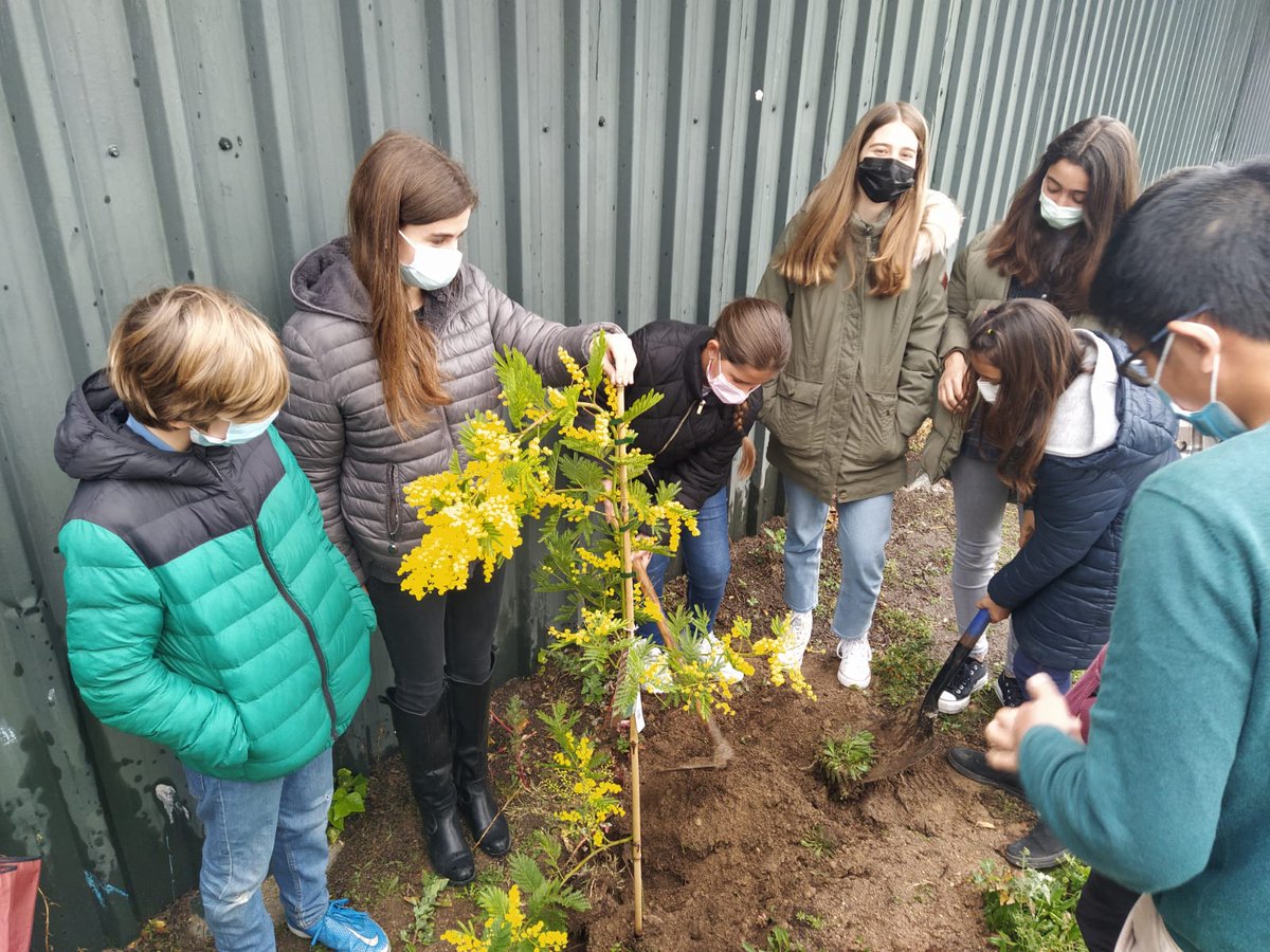 colegiobase's tweet photo. Celebramos el #equinocciodeprimavera en #colegiobase con el #Díadelárbol y #Díadelapoesía.
En 1º y 2º de #ESO hemos leído poemas en clase y plantado árboles juntos como acto simbólico para conmemorar esta fecha.
#SomosEquipo #SomosBase #EcoBase #medioambiente #naturaleza #poesía https://t.co/CQJUDwvajA