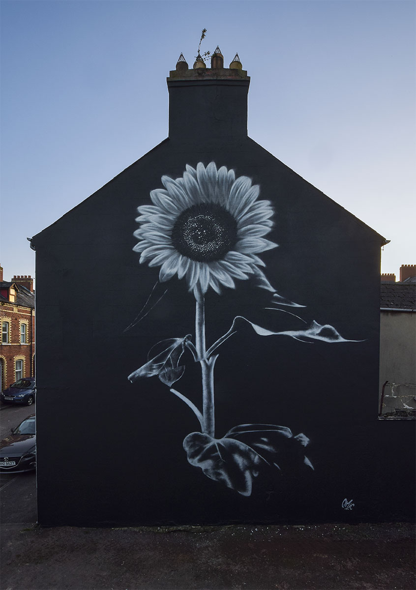 Painted in solidarity with the people of Ukraine 🇺🇦

Link in bio to donate to the ongoing humanitarian effort, please support ✌️

#streetart #urbanart #mural