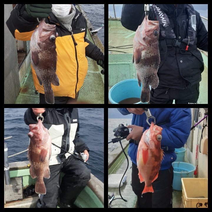 新潟 間瀬港 東間 釣り船 ゴチ網 活魚販売 漁師 3 21釣果 アラ 2 Up最大2 8 2 1 未満 8 マダラ最大8 重い 真鯛 鯖 沖メバル マゾイ Up カレイ カジカ ホッケ ジギング初挑戦でアラgetおめでとうございます ゲストも良型多数 アラ 新潟 間瀬港 東間 釣り船 ゴチ網 活魚販売 漁師 3 21釣果 アラ 2 Up最大2 8 2 1 未満 8 マダラ最大8 重い 真鯛 鯖 沖メバル マゾイ Up カレイ カジカ ホッケ ジギング初挑戦でアラgetおめでとうございます ゲストも良型多数 アラ