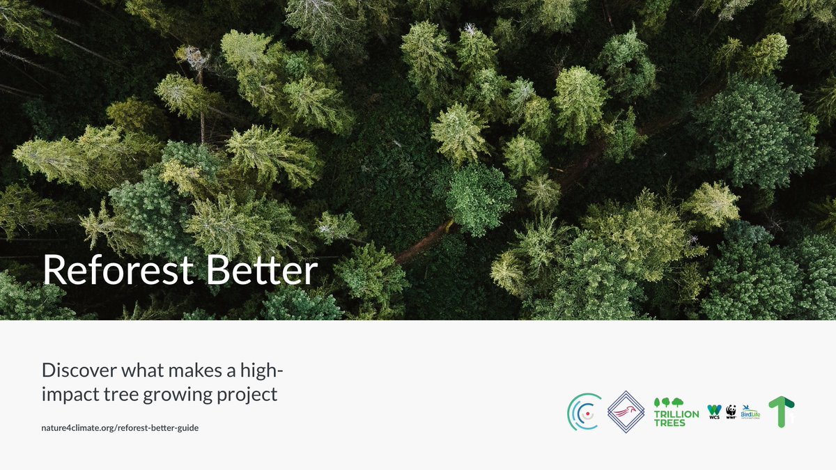 Nature4Climate tweet media