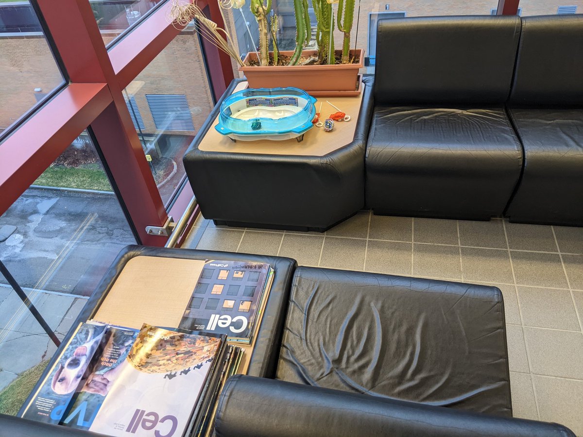 This university lounge area has all the boxes checked.
 Nice chairs ✅
Quality scientific reading ✅
Cactus ✅
Bayblade Arena ✅