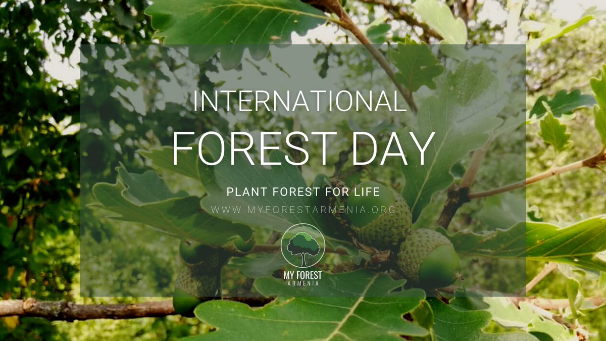 Happy International Day of Forests!

Plant Forests for Life!

#MyForestArmenia #Անտառների_միջազգային_օր #ForestDay2022 #PlantTreesForLife #reforestation