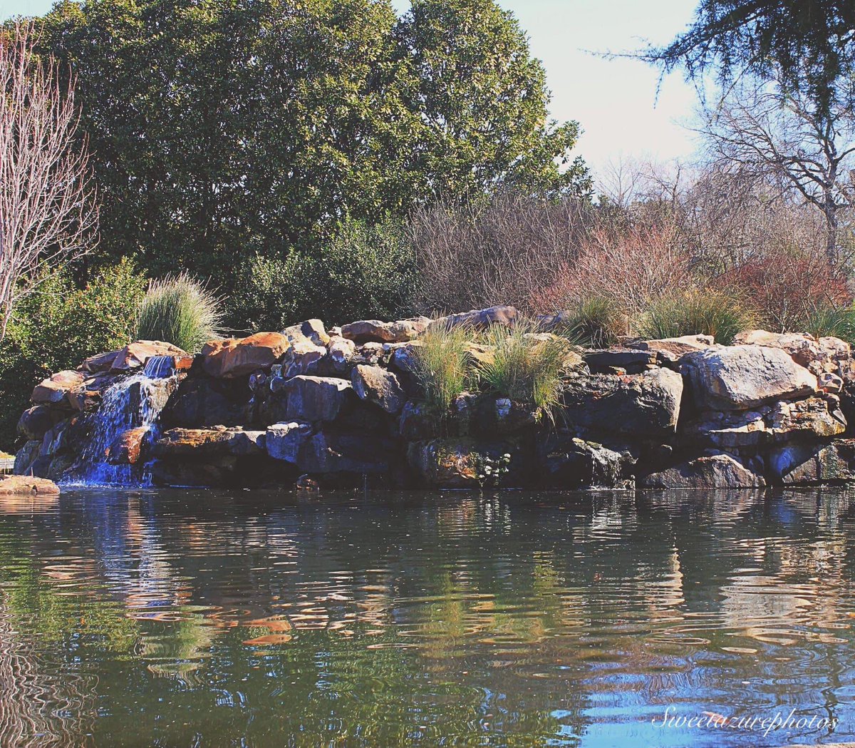 SRVhound145's tweet photo. Waterfalls wouldn’t sound so melodious if there were no rocks in the way #water #waterfall #nature #dallas #Arboretum https://t.co/GYSMujRIWn
