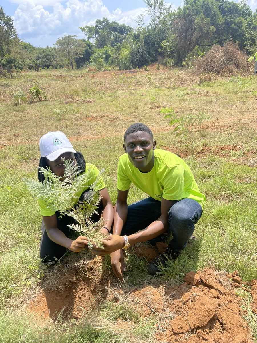 mnyomb1's tweet photo. Today with over 200 youth we managed to plant 1500 saplings as a way of refilling and giving back to Kaazi forests🇺🇬

Besides providing habitats for animals and livelihoods,forests also helps in prevention of soil erosion and mitigate climate change🌳

#InternationalDayofForests https://t.co/NJaEJUYYXW