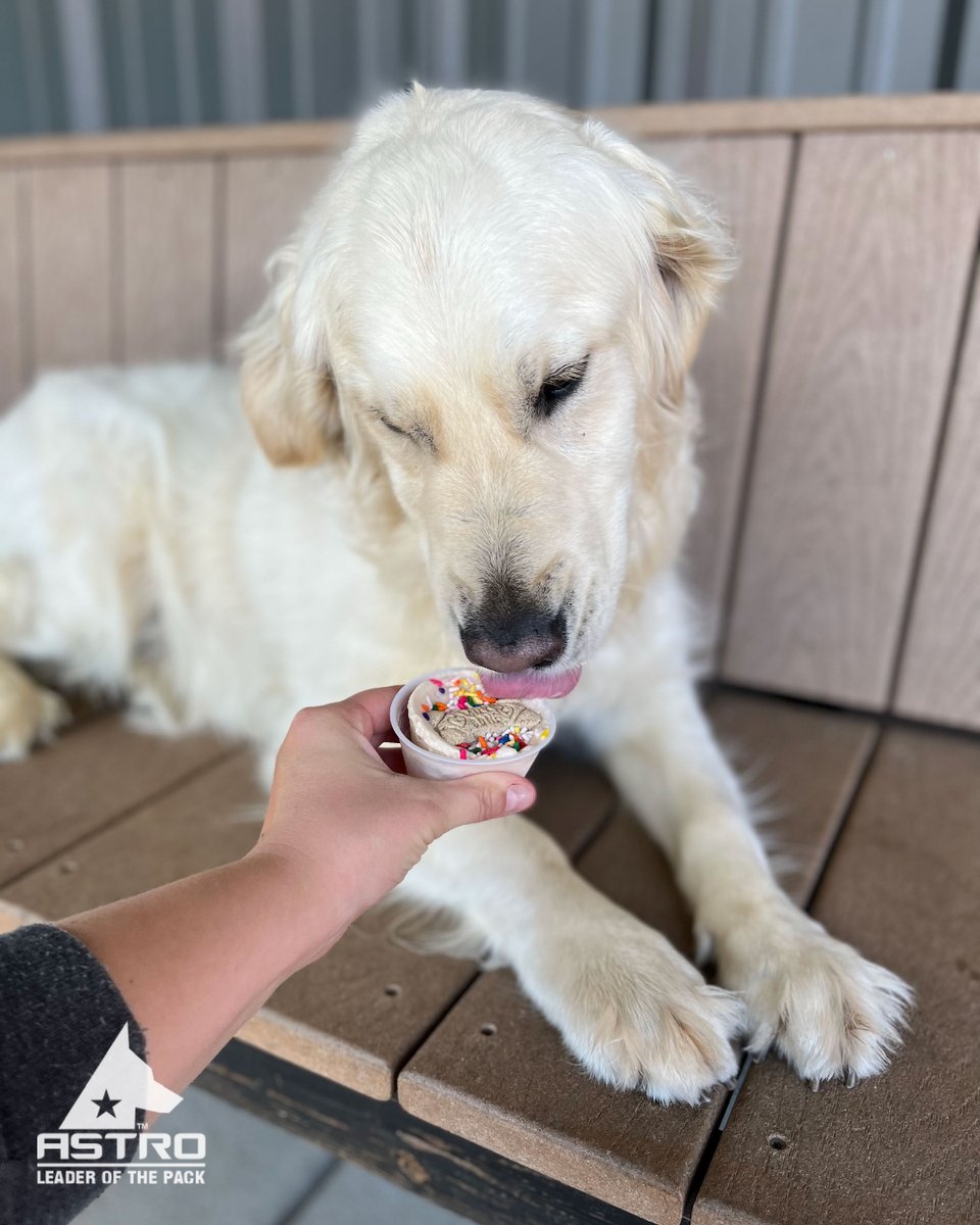astrokennels's tweet photo. The happiest of birthdays to Luther! Two is such a fun age and you still have so much fun to be had. We hope you're enjoying the day with your Astro friends. 😍 #astrodog #leaderofthepack https://t.co/ZTiQciTR7n