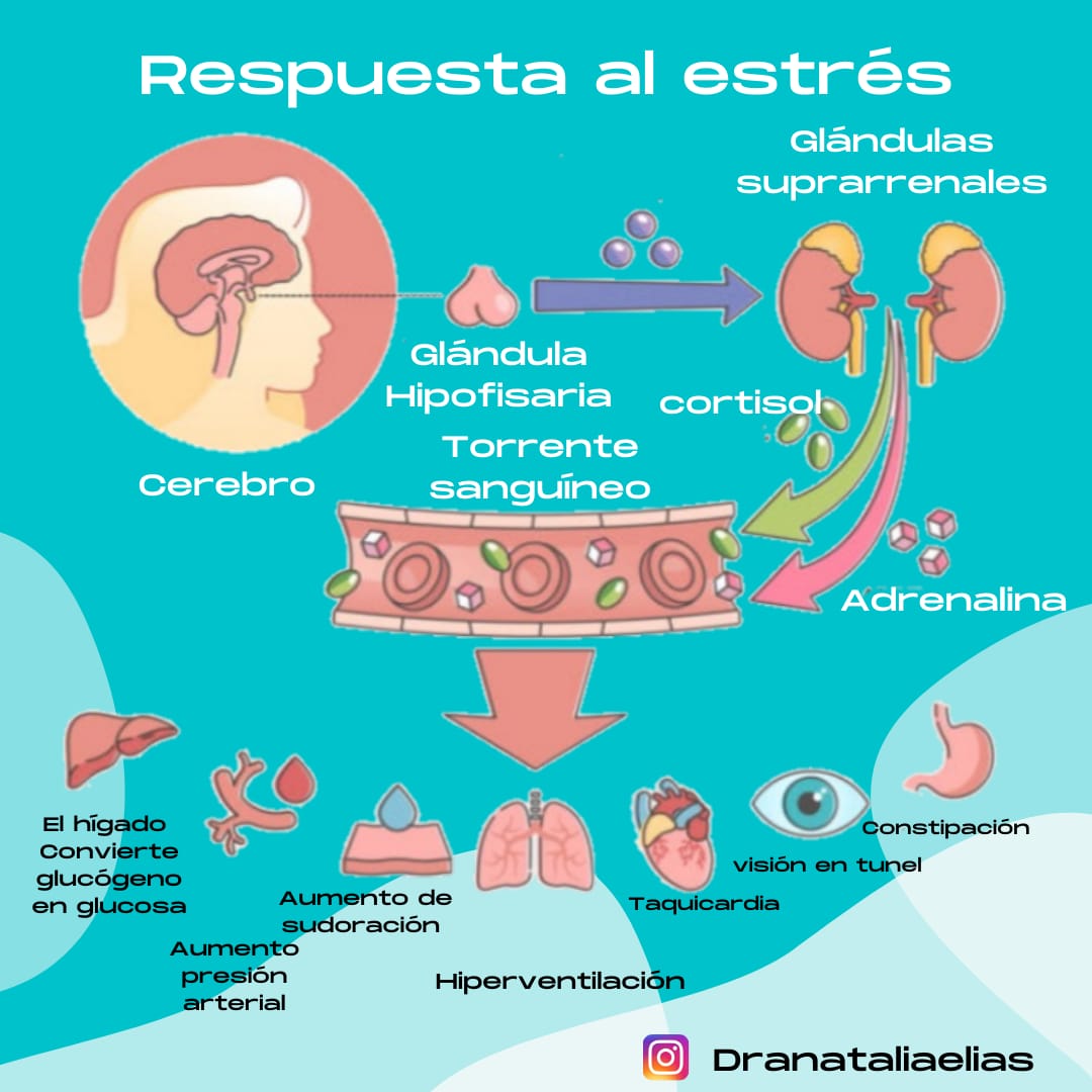 elias_dra's tweet photo. #estrès https://t.co/PU0LzAXFQB