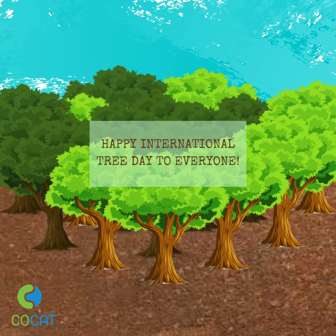 Today, March 21, is the International Tree Day! 

On March 21 join us walking around your neighbourhood, a nearby forest, go up to a tree and enjoy a hug. 

Share the image with the hashtags #hugatreeday and #IntlForestDay! https://t.co/CnpoUnqf9g