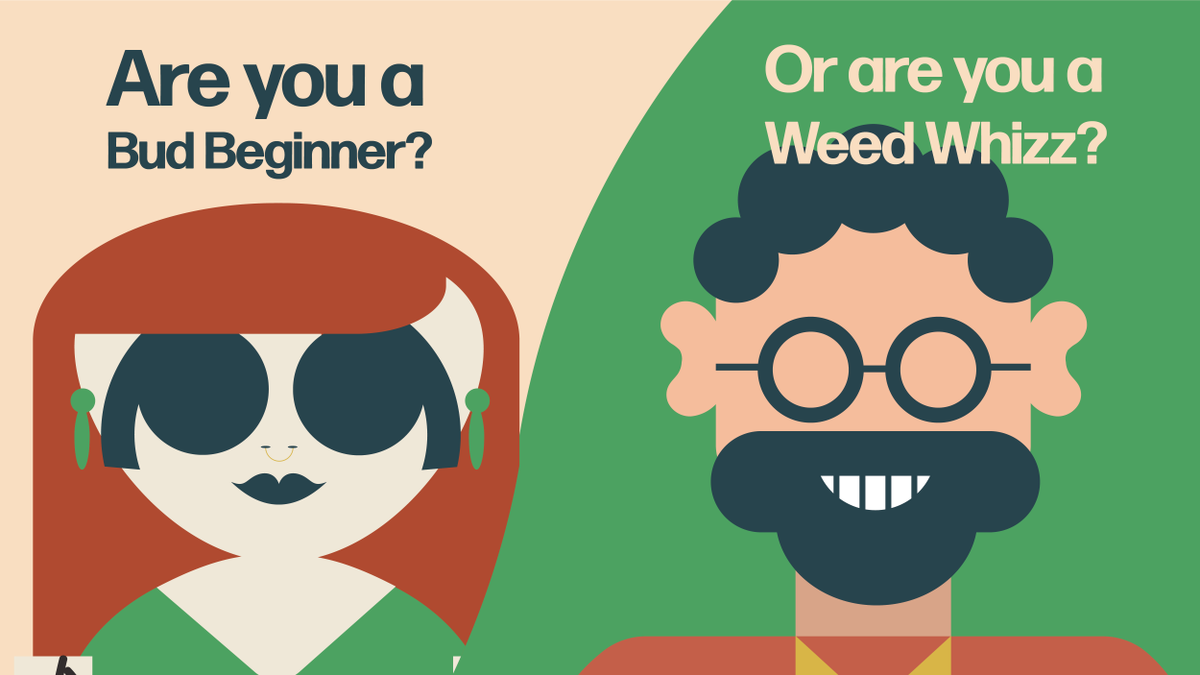 WeedOutMisinfo's tweet photo. Come find out, we have knowledge testing quizzes for all levels at https://t.co/MgSpye3Enr https://t.co/tr9k6KaB83