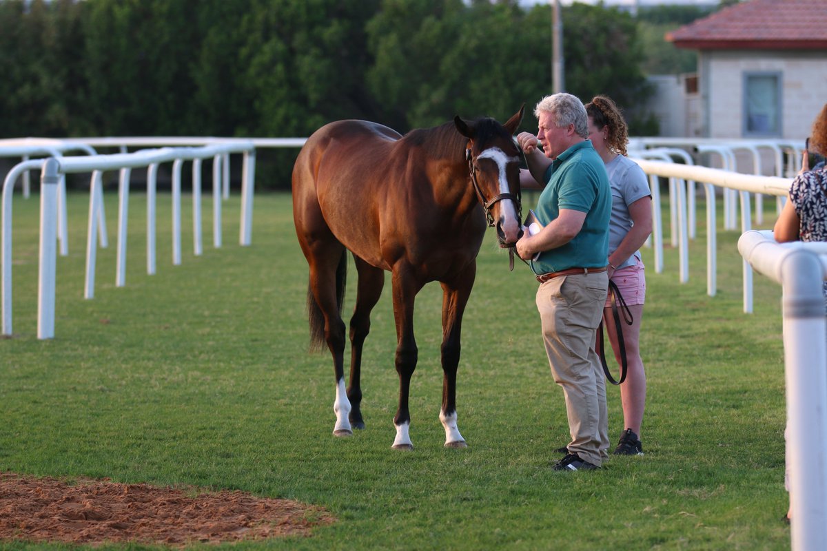 Goffs1866's tweet photo. This Smooth Daddy colt is part of the @BanshaHouse family!

Lot 26 is a half brother to G1 Dubai Turf placed Felix, and is out of a 1/2 sister to UAE 1000 Guineas winner Dubai Love 🇦🇪

L-R: Amy Marnane, Con Marnane, Hetty Spencer, Olivia Marnane &amp; Theresa Marnane

#GoffsDubai 🇦🇪 https://t.co/TYry2r0uI3
