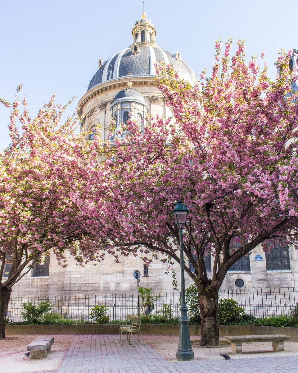 Institut de France tweet media