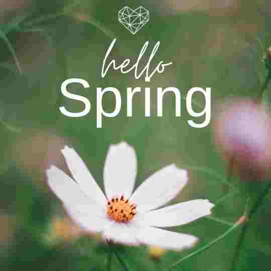 SOLDesign_Col's tweet image. We are so excited to welcome Spring back! Spring is the season that represents new beginnings and starting with a clean slate and at SOL Design we can definitely relate to that this season. What new beginnings are you most excited about? Any new projects on the horizon for you?