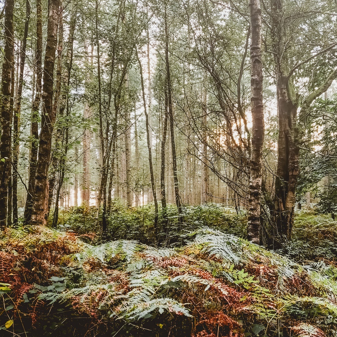 FOY4HCmWUAQQMLY.jpg:large