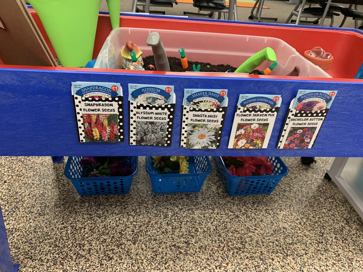 MrsHensonOPS's tweet photo. Henson’s Plant Shop Open Soon! 💚🪴🌿💐🌸 #Kinder #PurposefulPlay #opsmomentsthatmatter #CsCardinal
Just need to get price tags up, and lanyards on jobs (botanist, gardener, cashier, customer, etc) 🙂 https://t.co/T7PoIerJdg