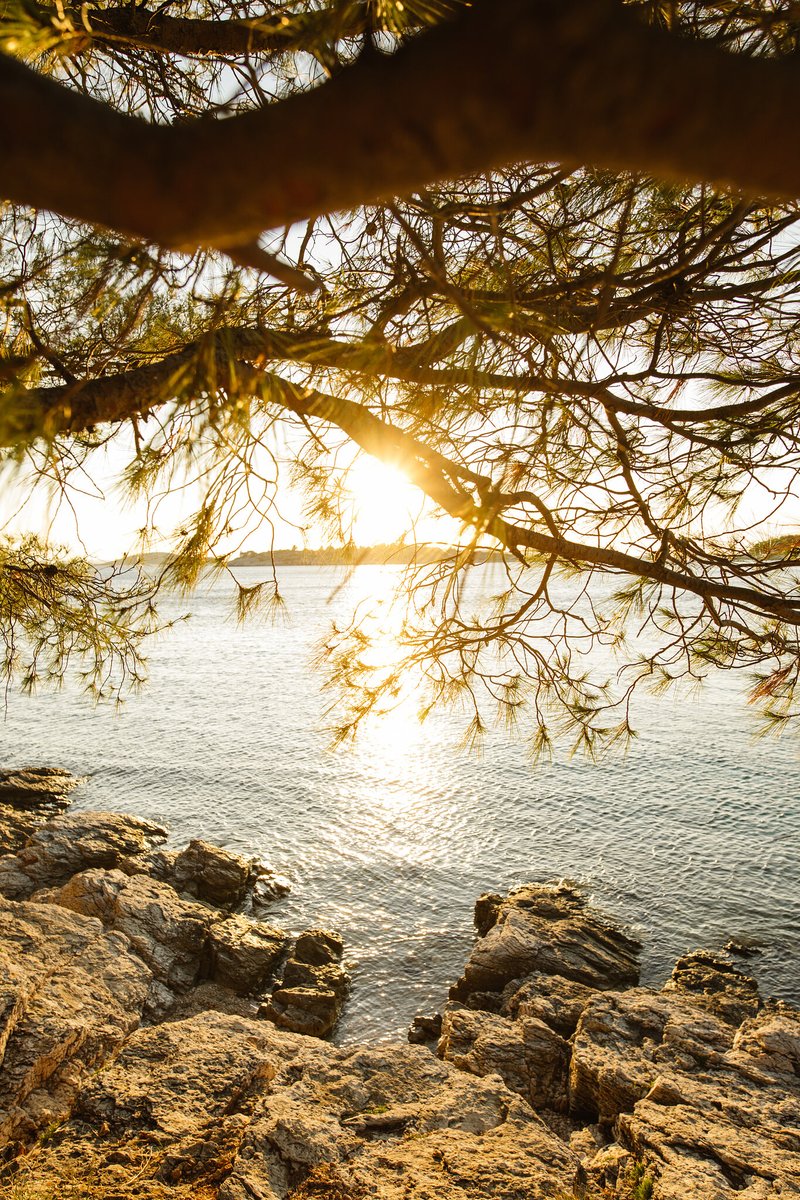 Seasons changing...☀️ The countdown to Tisno begins 💙