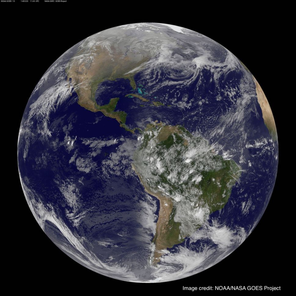 ObservatorioVaticano tweet media