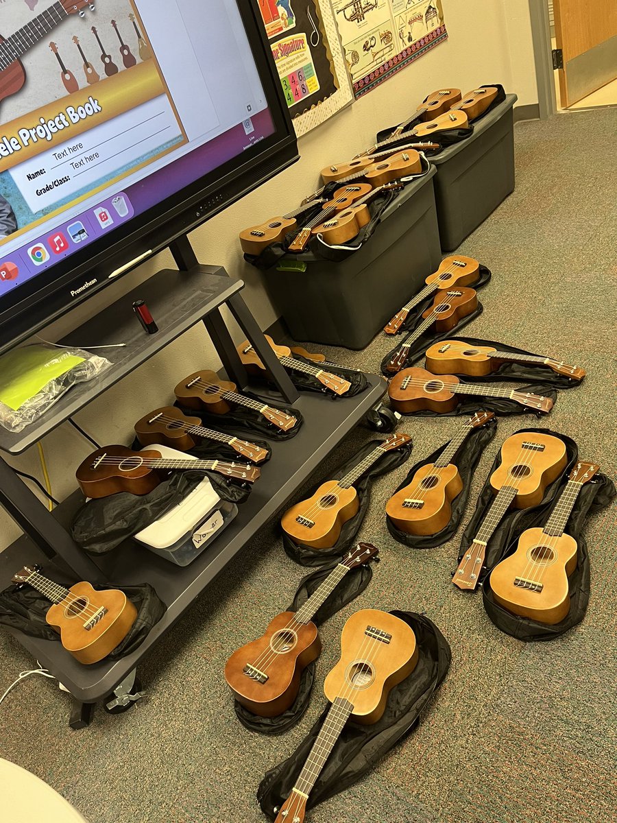 Lindley Cameron tweet media