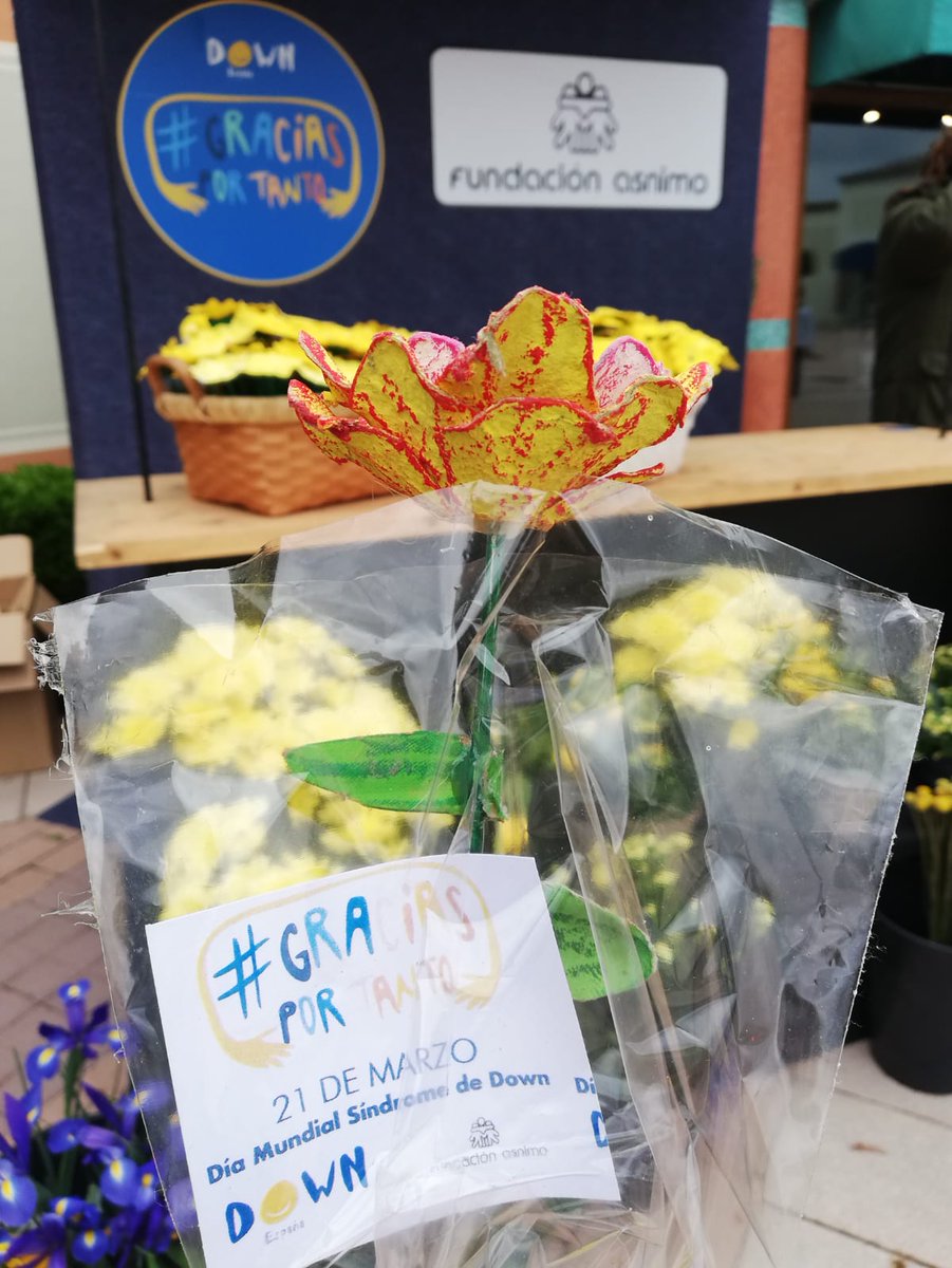paquigmarti's tweet photo. 🙌@macanta7 #Asnimo #DiaMundialDelSindromeDeDown #GraciasPorTanto M.Antonia ❤ #FundacionSolidaridadCarrefour https://t.co/VgCDhuapFY