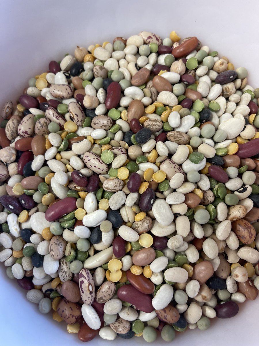 DrSHankMD's tweet photo. 16 bean mix. Who can identify all 16?
#BeansForLife https://t.co/h4bDFbNkQV