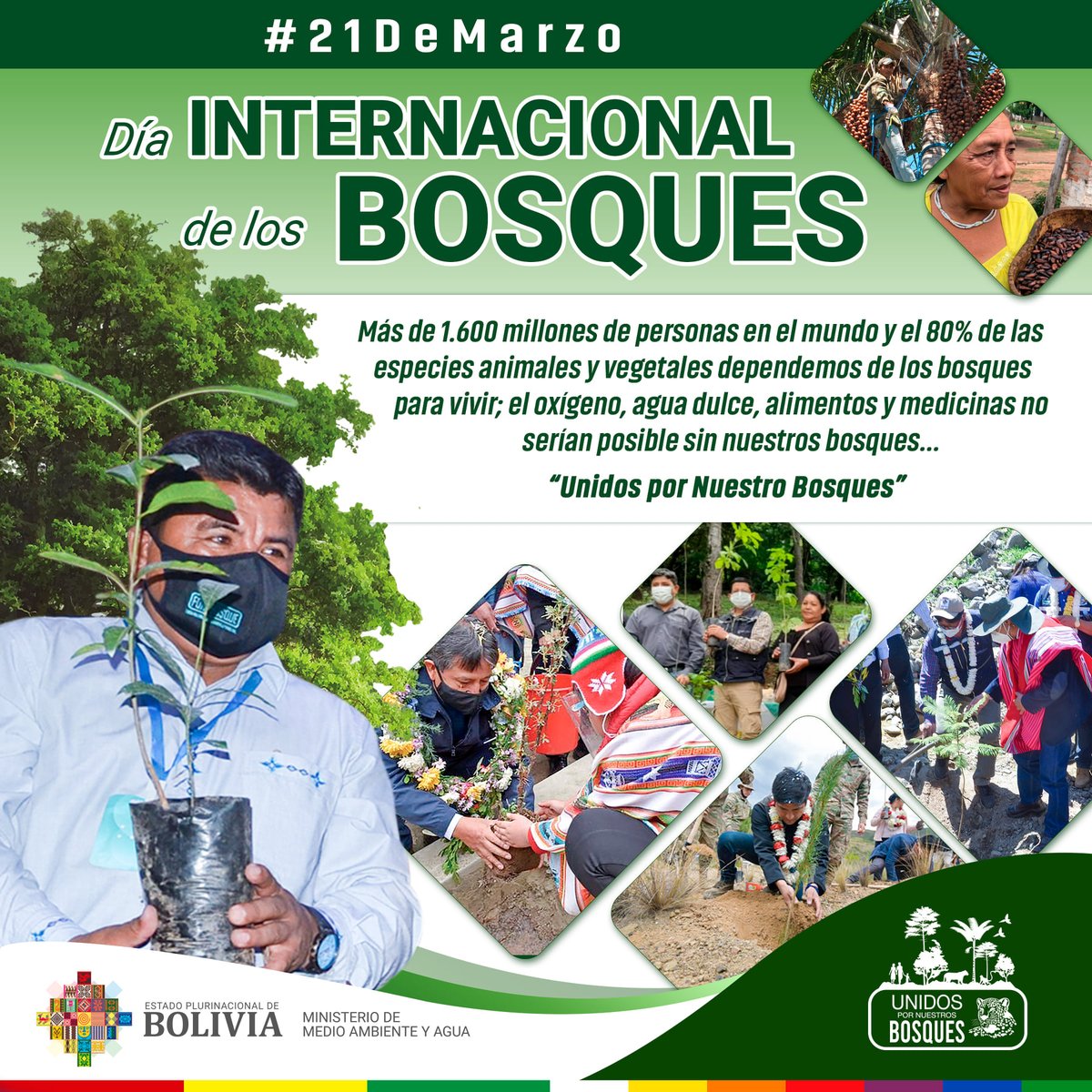AmbienteyAgua's tweet photo. #DiaInternacionalDeLosBosques | Más de 1.600 millones de personas en el mundo y el 80% de las especies animales y vegetales dependemos de los bosques para sobrevivir; el oxígeno, agua dulce, alimentos y medicinas no serían posible sin nuestros bosques.

#MMAyA https://t.co/DoiVQLYkRv