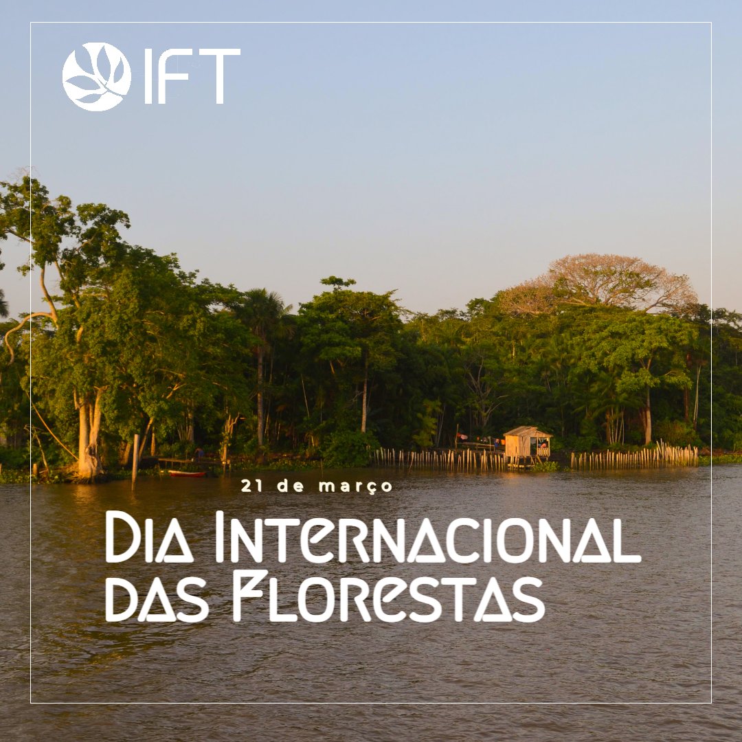 IFTAmazonia's tweet photo. Neste 21/03, nós reafirmamos o compromisso na defesa do manejo sustentável na Amazônia Brasileira e, consequentemente, na luta pela manutenção da floresta em pé, a partir do fortalecimento das comunidades tradicionais e do uso consciente dos recursos naturais desses territórios. https://t.co/crxZ3jSRQP