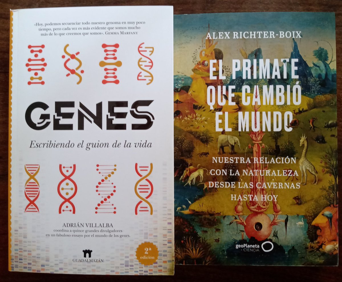 🎁 ¡Atravesaron el Atlántico para llegar hoy a mis manos!