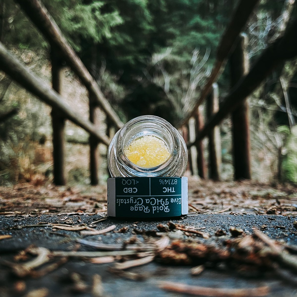 Artifact Extracts tweet media