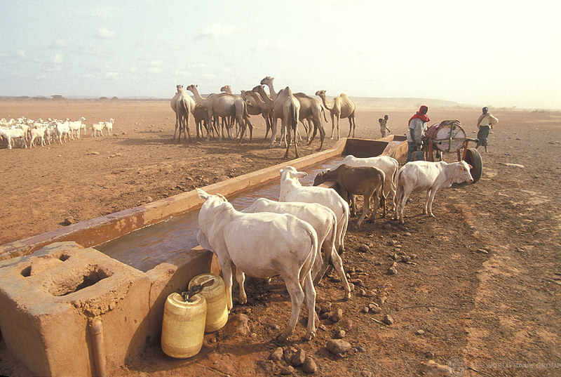 WorldBankWater's tweet photo. Despite the benefits of investing in water for development, water security is far from being realized in many countries - a challenge which is particularly acute in Africa.

Read @DavidMalpassWBG and MackySall’s @WaterForum9 #WorldWaterDay2022 op-ed: https://t.co/9e81H8VhZt https://t.co/YtYvnly937