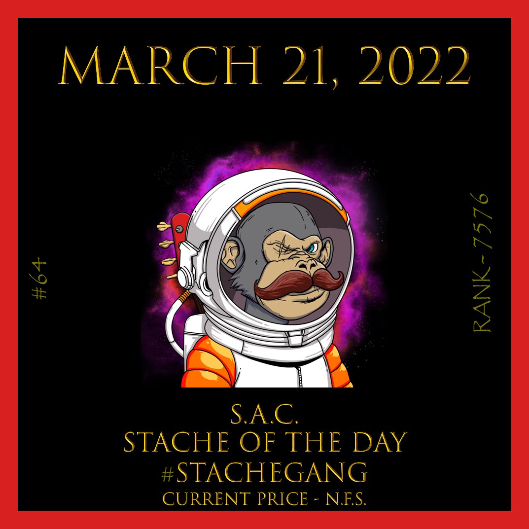 Stached_CNFT's tweet photo. Stache of the Day is Space Ape #64.  How did he get blinded?  Does the grey fur come with age?
#NFT #CNFT #ApeLife @LovelaceCNFT @SpaceApeClub @Freedom_35ers @Block_Is_Hot_7 @CryptoStache @NFT_Justin @Bitboy_Crypto https://t.co/Ygs9T6nNZw