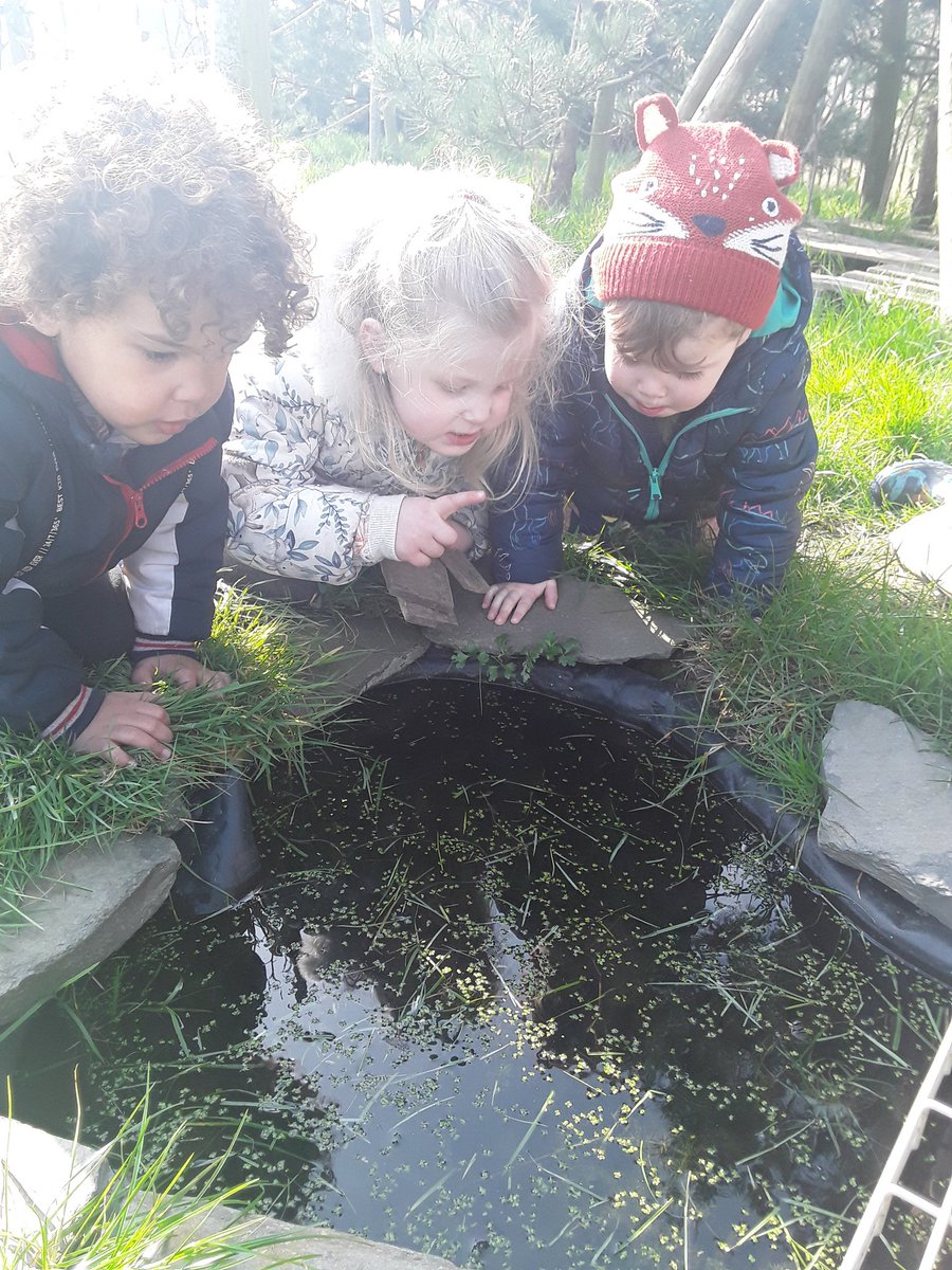 AshbridgeMaxy's tweet photo. A lovely moment by the pond. "That's going to be baby frogs." "If we take the cover off the birdies will eat them!" #FoxesAtMaxy @NDNAtalk #forestschool @AshbridgeOutdo1 https://t.co/5oXRV8Vvrb