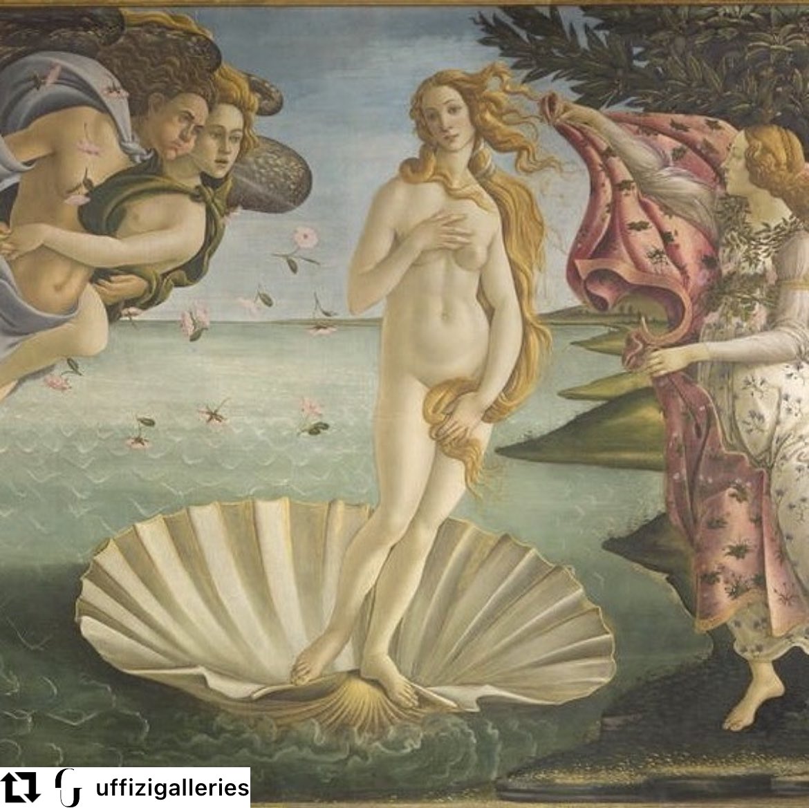 RegLiguria's tweet photo. Non solo la #Venere di #Botticelli era ligure, Simonetta Vespucci nata a #Fezzano, secondo storici dell’arte riuniti oggi in convegno alla #Spezia, lo sfondo alle sue spalle sarebbe il #GolfodeiPoeti, da Marola a Porto Venere, sino a Varignano nel dipinto #lamialiguria https://t.co/oy4a6hEmyz