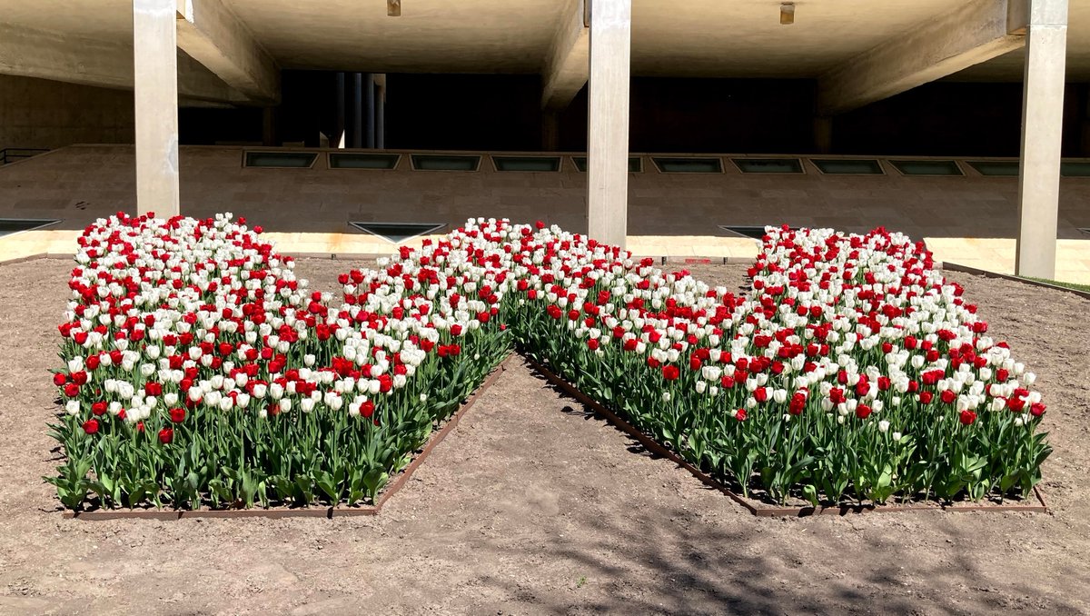 UWAdmissions's tweet photo. Happy #UWSpring!
🌷🌸🌹🌺
#FutureBadger https://t.co/rehVOZrOhx